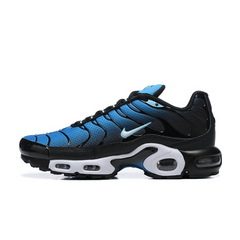 Nike Air Max Plus TN Aquarius Casual Shoes