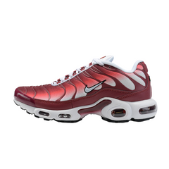 Zapatillas casuales Nike Air Max Plus GS Dark Beetroot