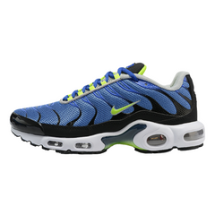 Nike Air Max Plus TN Blue Black Green Casual Shoes