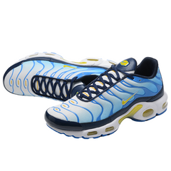 Nike Air Max Plus TN Blue Topaz Gold Casual Shoes