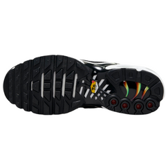 Zapatillas Nike Air Max Plus TN Rainbow Casual